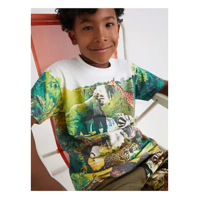 White-green boys' patterned T-shirt Desigual Fresa