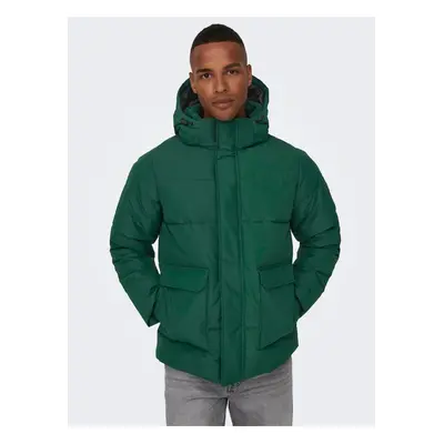 Dark Green Men's Quilted Winter Jacket ONLY & SONS Carl - Men