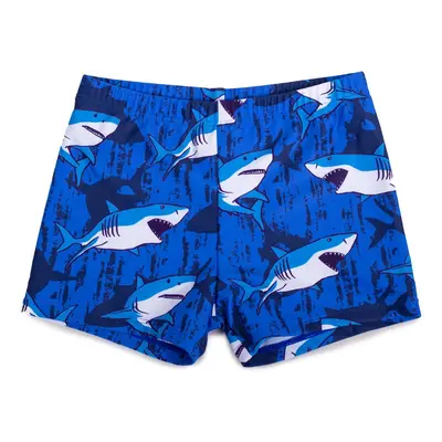 Yoclub Kids's Boys' Swimming Shorts LKS-0059C-A100