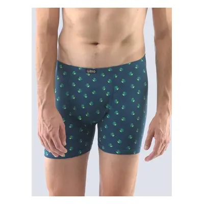 Men's boxers Gino multicolor