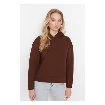 Trendyol Brown Regular/Normal Wear Basic with a Hooded Fleece Inside Knitted Sweatshirt