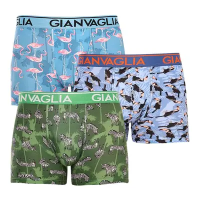 3PACK Men's Boxers Gianvaglia Multicolor