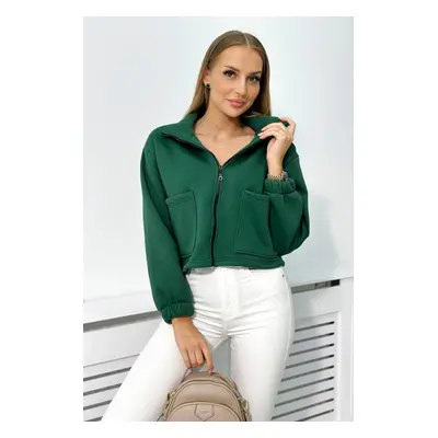 Cotton insulated sweatshirt with green zipper