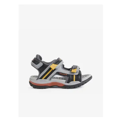 Black-gray boys' sandals Geox Borealis