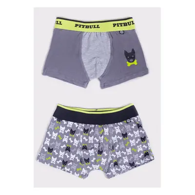 Yoclub Kids's 2Pack Boy's Boxer Briefs BMB-0018C-AA30