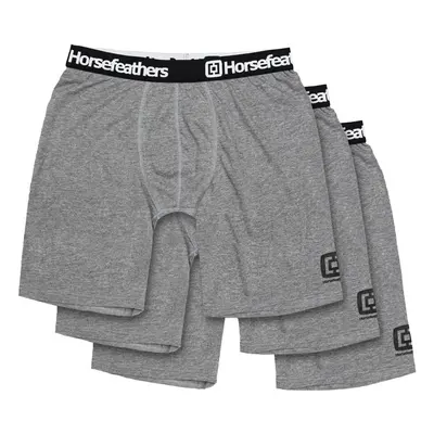 3PACK Mens Boxers Horsefeathers Dynasty long