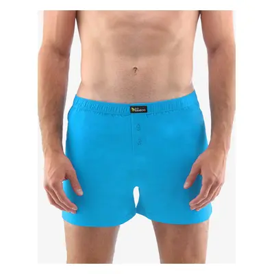 Men's shorts Gino blue