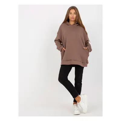 Basic brown sweatshirt with pockets