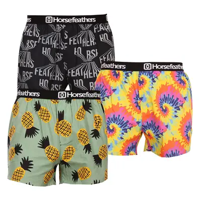 3PACK Mens Shorts Horsefeathers Frazier