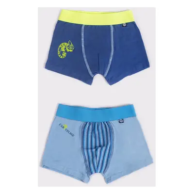 Yoclub Kids's 2Pack Boy's Boxer Briefs BMB-0013C-AA30