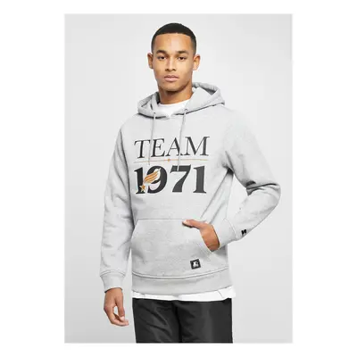 Starter team Hoody heathergrey