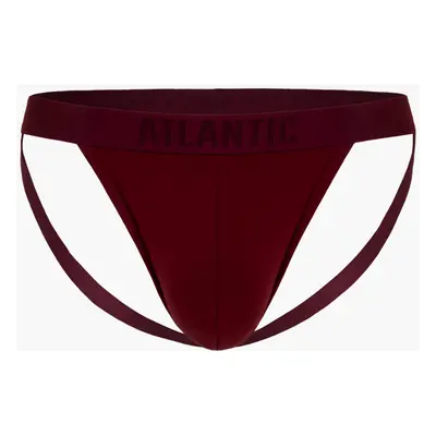 Briefs Atlantic MP-1571 S-2XL wine