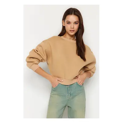 Trendyol Beige Comfort Fit Crop Basic Crew Neck Fleece Inside Knitted Sweatshirt