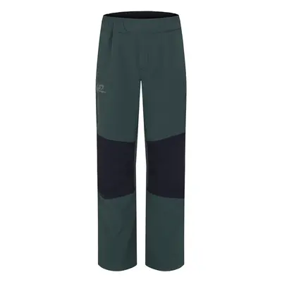 Kids softshell pants Hannah LUIGI JR green gables/anthracite