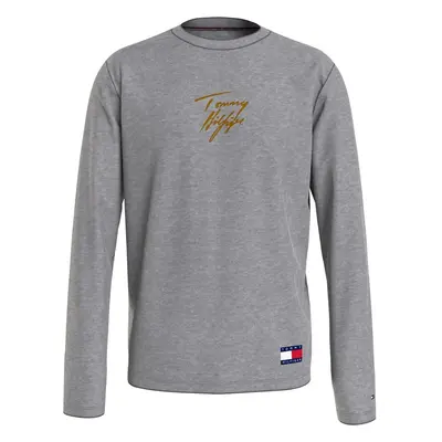 Tommy Hilfiger Logo