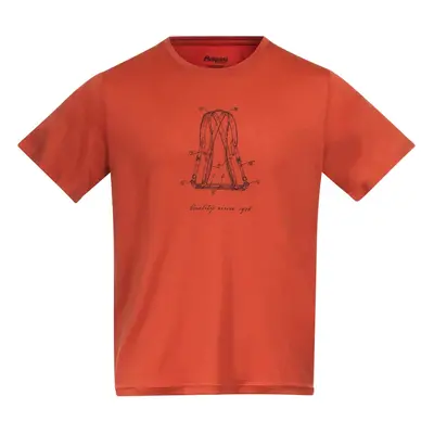 Men's T-shirt Bergans Graphic Wool Brick