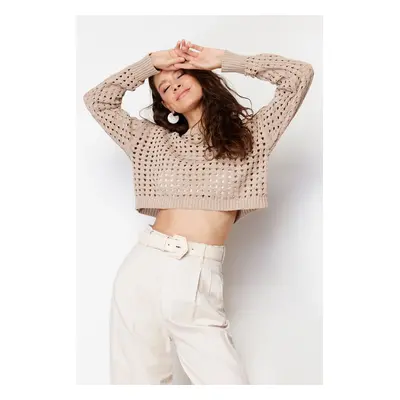 Trendyol Mink Super Crop Openwork/Perforated Knitwear Sweater