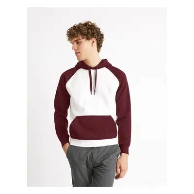 Celio Sweatshirt Raglan Ceblocos - Men