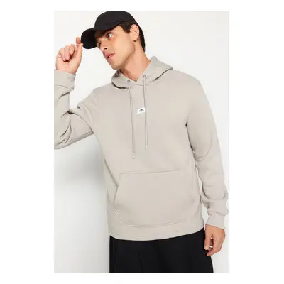 Trendyol Grey Regular/Normal Cut Hooded Labeled Inside Polar Fleece/Warm Sweatshirt