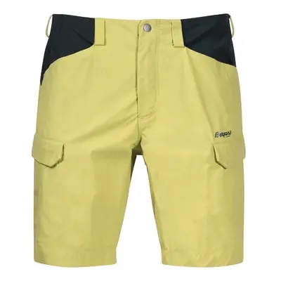 Men's Shorts Bergans Utne Shorts Green