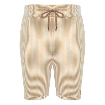 Trendyol Beige Striped Regular Cut Shorts