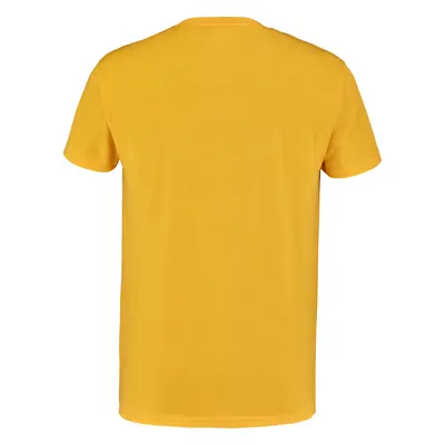 Pánské tričko Babolat Exercise Vintage Tee Men Saffron Heather