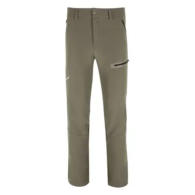 Men's pants Salewa TERMINAL DST PNT