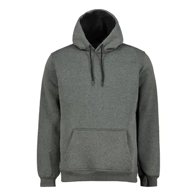 Men's sweatshirt Aliatic