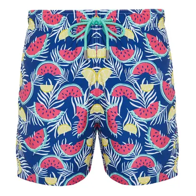 Trendyol Multi Color Standard Size Watermelon Print Swim Shorts