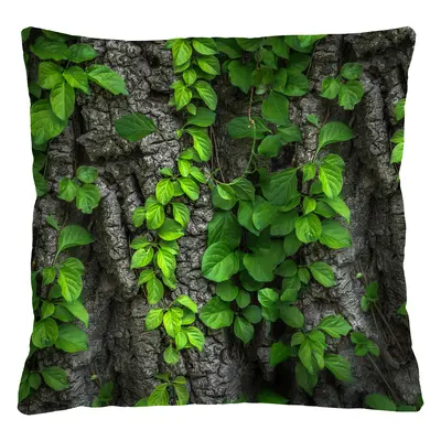 Bertoni Home Unisex's Square Pillow Creeper