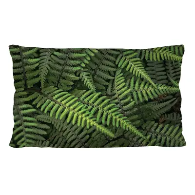 Bertoni Home Unisex's Rectangular Pillow Ferns