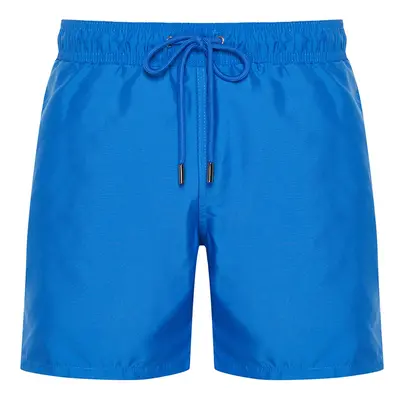 Trendyol Blue Penguin Embroidered Swim Shorts