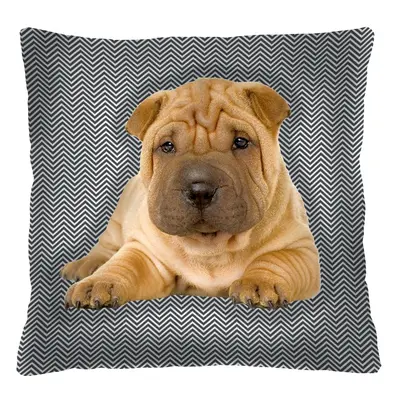 Bertoni Home Unisex's Square Pillow Scott