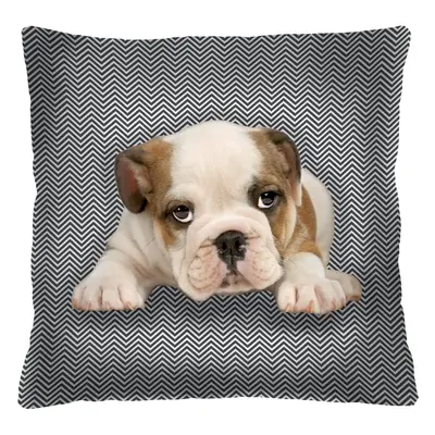 Bertoni Home Unisex's Square Pillow Niunio