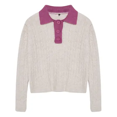 Trendyol Stone Soft Texture Polo Collar Color Block Knitwear Sweater