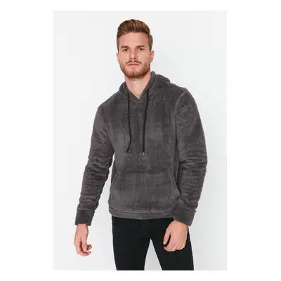 Trendyol Smoke Regular/Normal Cut Hooded Warm Plush Sweatshirt