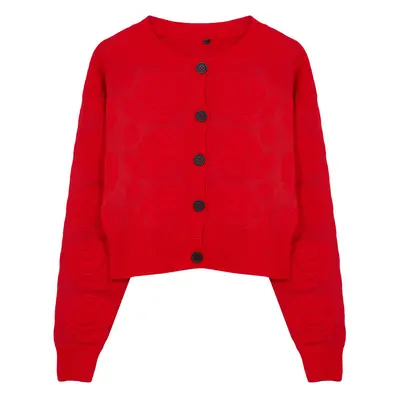 Trendyol Limited Edition Red Crop Soft Texture Rose Knitted Jacket Look Knitwear Cardigan