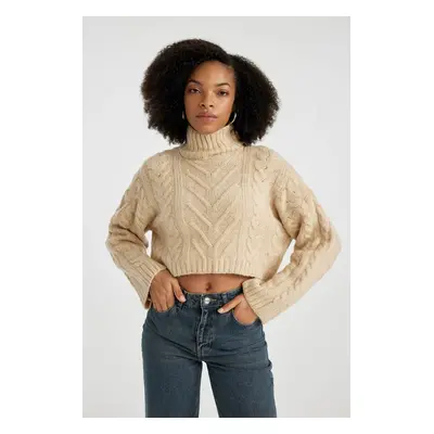 DEFACTO Regular Fit Half Turtleneck Sweater