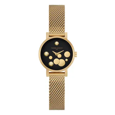 Pierre Cardin Watch