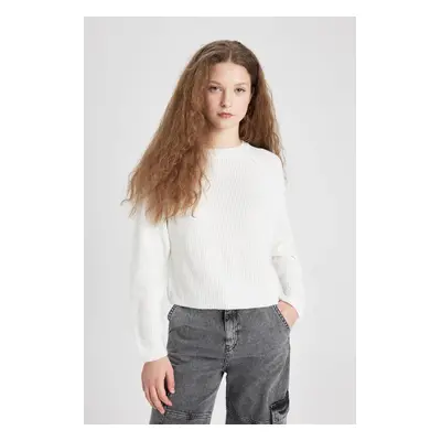 DEFACTO Cool Regular Fit Crew Neck Knitwear Basic Sweater