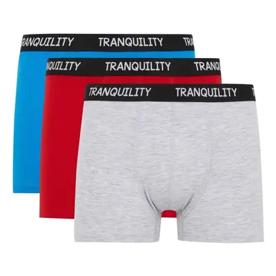 DEFACTO Regular Fit 3-Piece Boxer