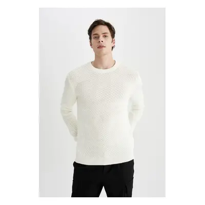 DEFACTO Standard Fit Crew Neck Sweater