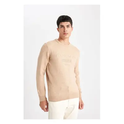 DEFACTO Relax Fit Crew Neck Sweater