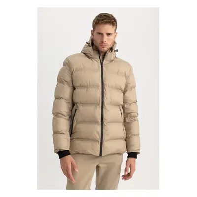 DEFACTO Slim Fit Hooded Lined Puffer Coat