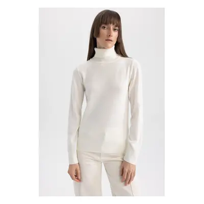 DEFACTO Regular Fit Turtleneck Basic Sweater