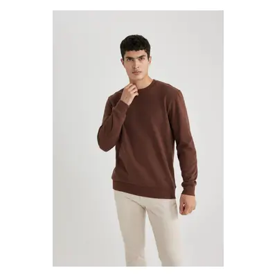 DEFACTO Regular Fit Crew Neck Cotton Basic Sweatshirt