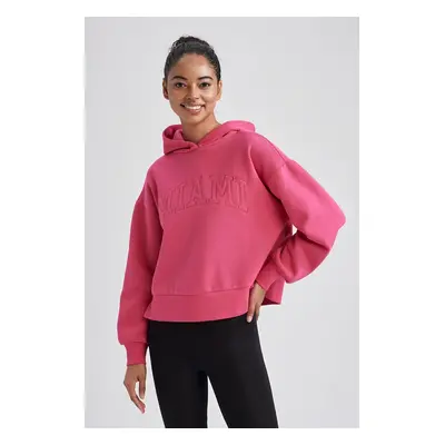 DEFACTO Fit Hooded Thick Sweatshirt