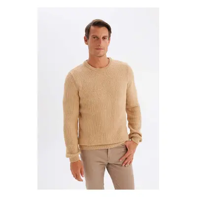 DEFACTO Men's Beige Standard Fit Regular Cut Crew Neck Textured Knitwear Sweater