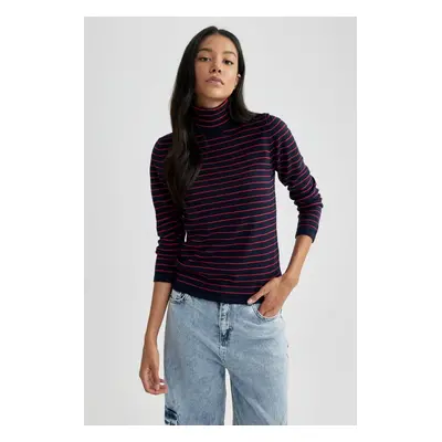 DEFACTO Regular Fit Turtleneck Basic Sweater