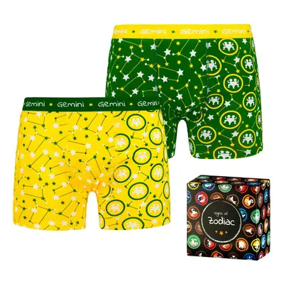 Men's boxers Frogies Zodiac Ikrek 2P Gift box